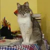 Отзыв от Элла Матвеева
